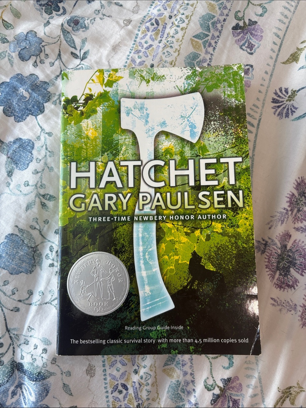 Hatchet by Gary Paulsen School Book